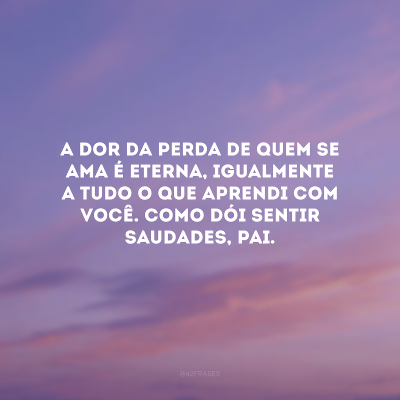 A dor da perda de quem se ama é eterna, igualmente a tudo o que aprendi com você. Como dói sentir saudades, pai.