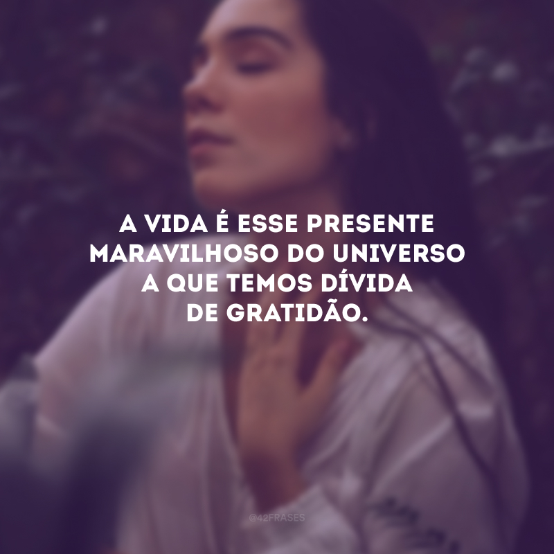 A vida é esse presente maravilhoso do Universo a que temos dívida de gratidão.