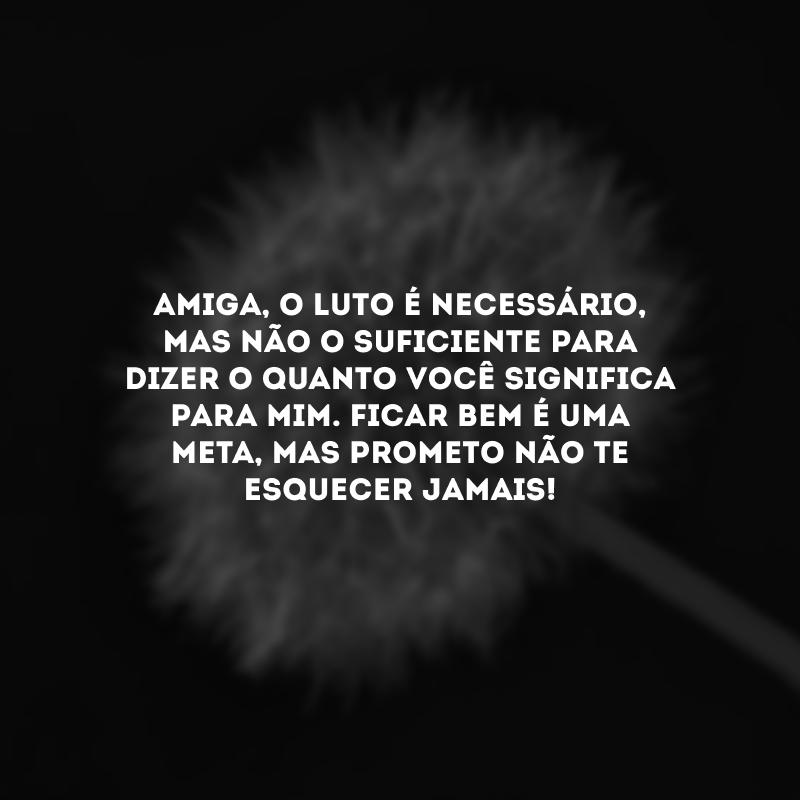 Amiga, o luto é necessário, mas não o suficiente para dizer o quanto você significa para mim. Ficar bem é uma meta, mas prometo não te esquecer jamais!