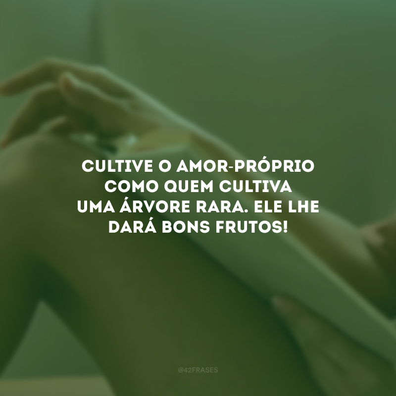 Cultive o amor-próprio como quem cultiva uma árvore rara. Ele lhe dará bons frutos! 