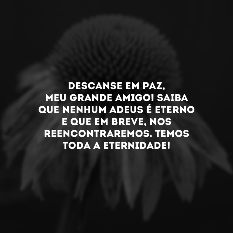 Descanse em paz, meu grande amigo! Saiba que nenhum adeus é eterno e que em breve, nos reencontraremos. Temos toda a eternidade!