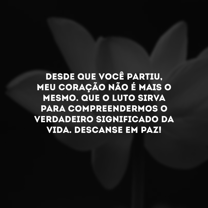 Desde que você partiu, meu coração não é mais o mesmo. Que o luto sirva para compreendermos o verdadeiro significado da vida. Descanse em paz!