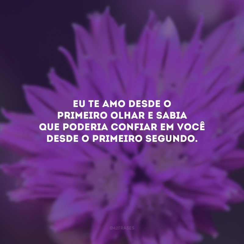 Eu te amo desde o primeiro olhar e sabia que poderia confiar em você desde o primeiro segundo.