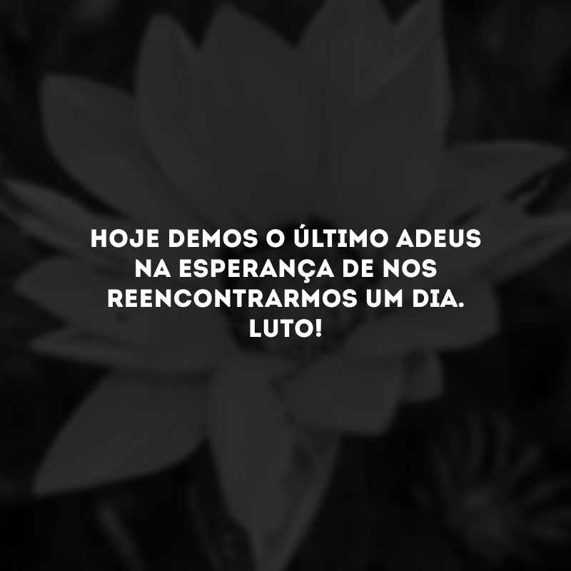 Hoje demos o último adeus na esperança de nos reencontrarmos um dia. Luto!