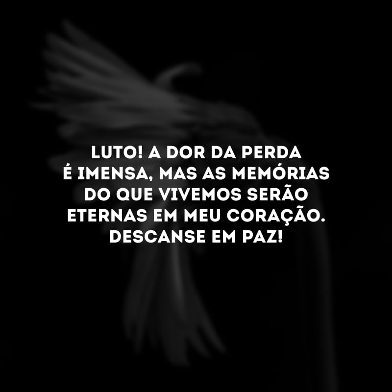 Luto! A dor da perda é imensa, mas as memórias do que vivemos serão eternas em meu coração. Descanse em paz!