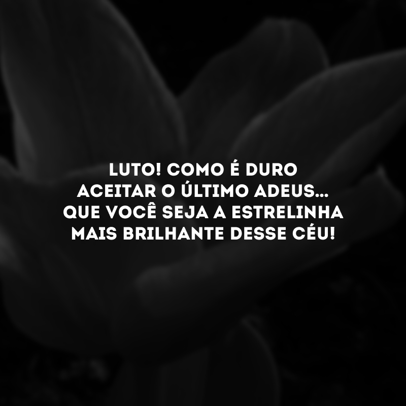 Luto! Como é duro aceitar o último adeus… Que você seja a estrelinha mais brilhante desse céu!