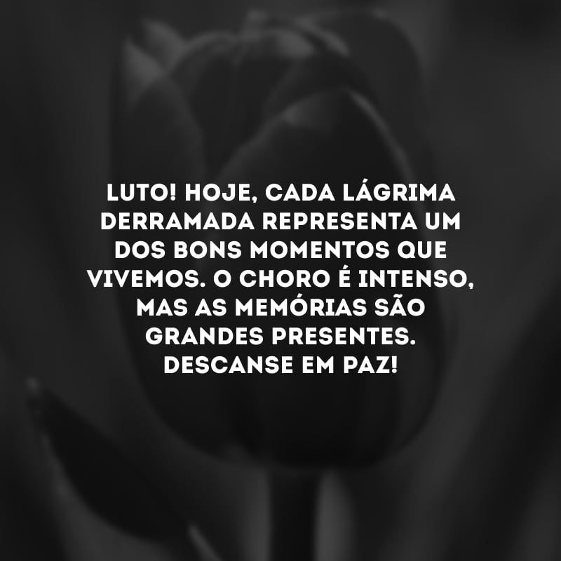 Luto! Hoje, cada lágrima derramada representa um dos bons momentos que vivemos. O choro é intenso, mas as memórias são grandes presentes. Descanse em paz!