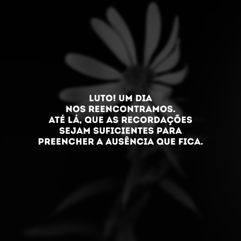 Luto! Um dia nos reencontramos. Até lá, que as recordações sejam suficientes para preencher a ausência que fica.