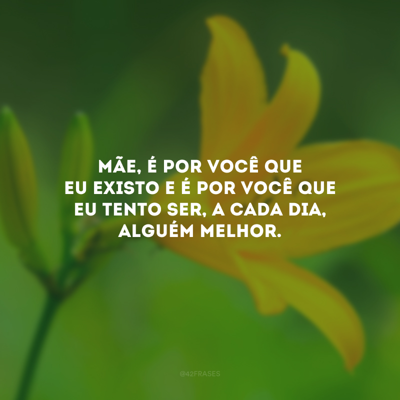 Mãe, é por você que eu existo e é por você que eu tento ser, a cada dia, alguém melhor.