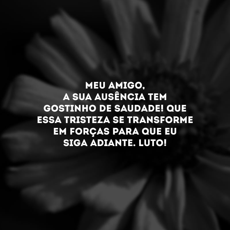 Meu amigo, a sua ausência tem gostinho de saudade! Que essa tristeza se transforme em forças para que eu siga adiante. Luto!