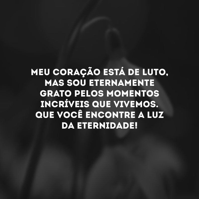 Meu coração está de luto, mas sou eternamente grato pelos momentos incríveis que vivemos. Que você encontre a luz da eternidade!