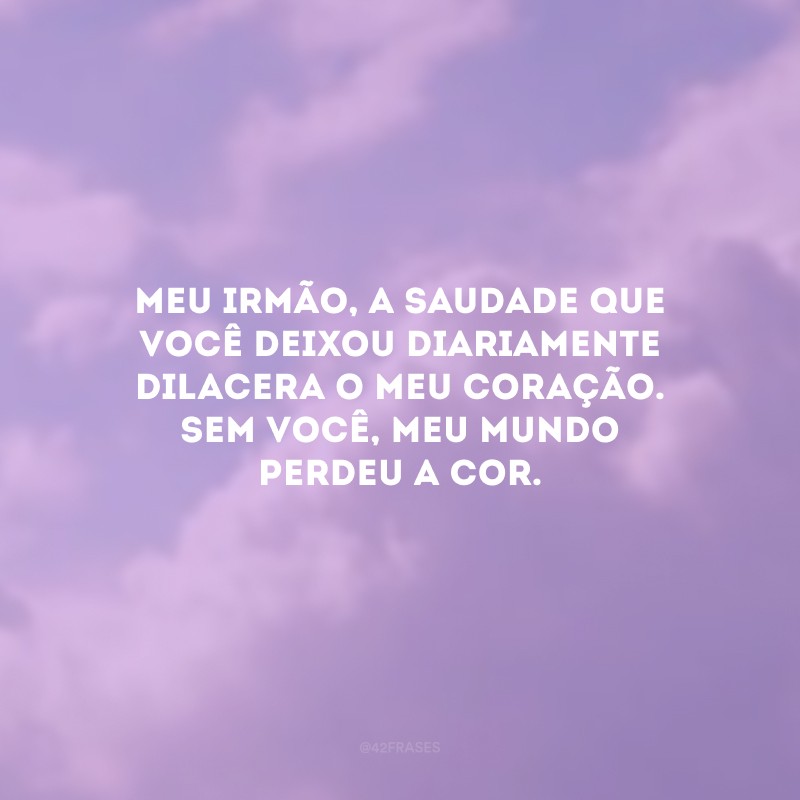 Meu irmão, a saudade que você deixou diariamente dilacera o meu coração. Sem você, meu mundo perdeu a cor.