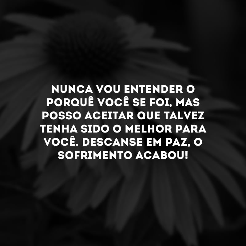 Nunca vou entender o porquê você se foi, mas posso aceitar que talvez tenha sido o melhor para você. Descanse em paz, o sofrimento acabou!