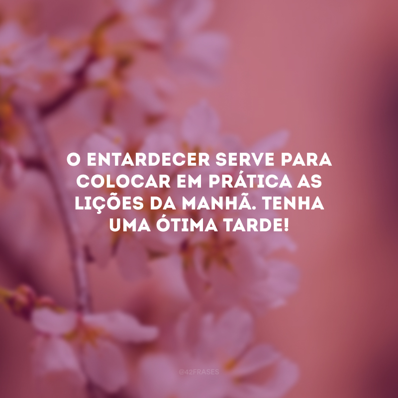 O entardecer serve para colocar em prática as lições da manhã. Tenha uma ótima tarde!