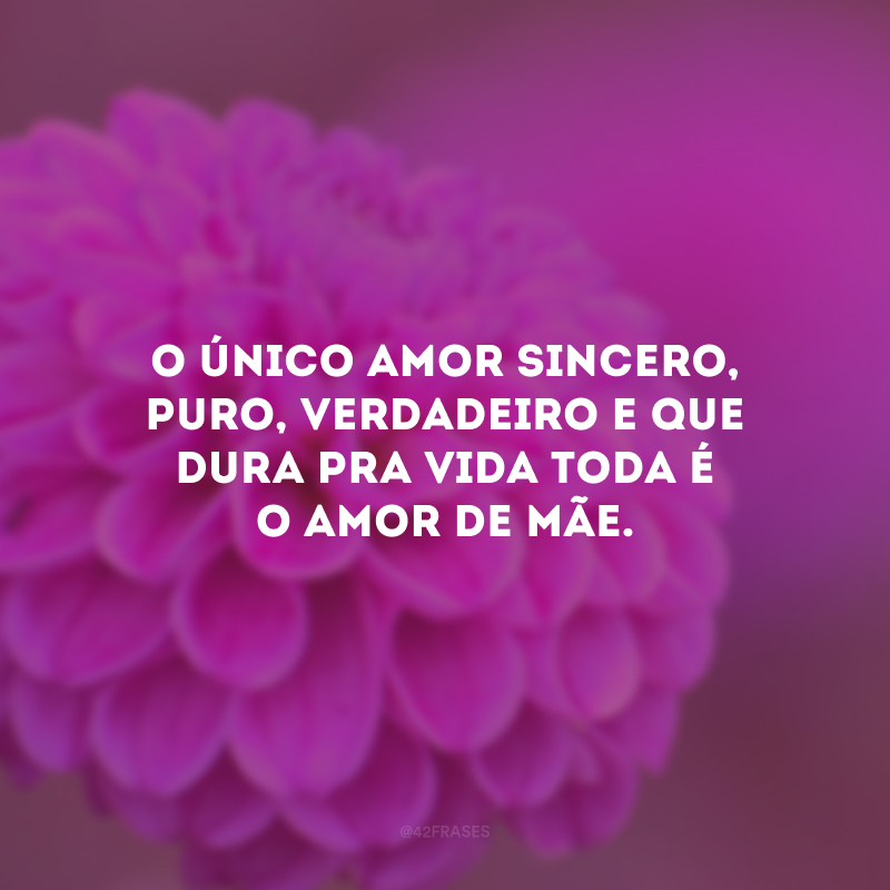 O único amor sincero, puro, verdadeiro e que dura pra vida toda é o amor de mãe.