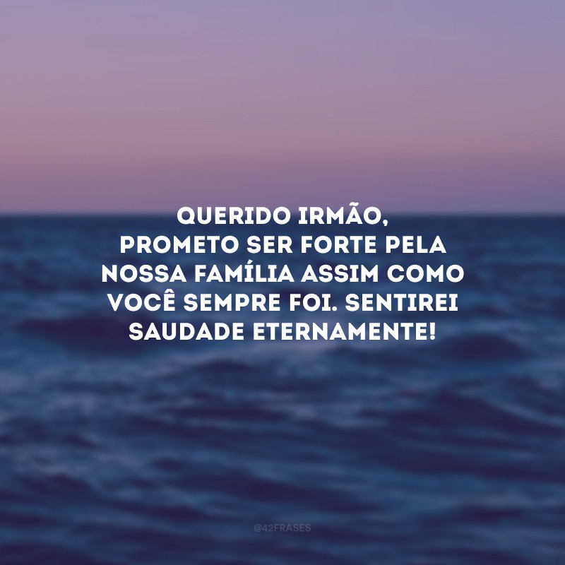 Querido irmão, prometo ser forte pela nossa família assim como você sempre foi. Sentirei saudade eternamente!