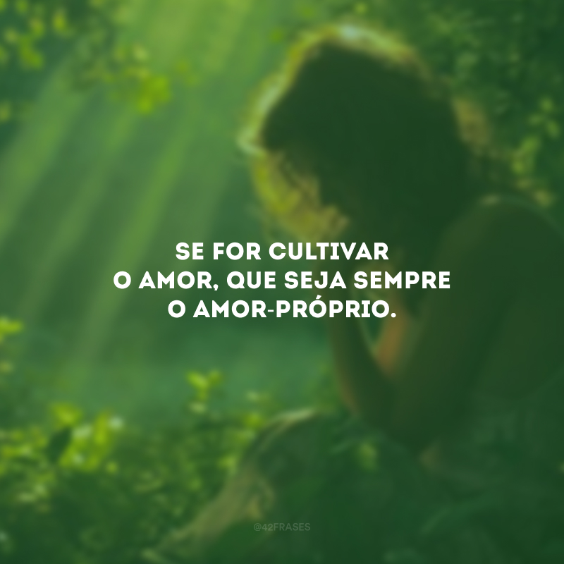 Se for cultivar o amor, que seja sempre o amor-próprio.