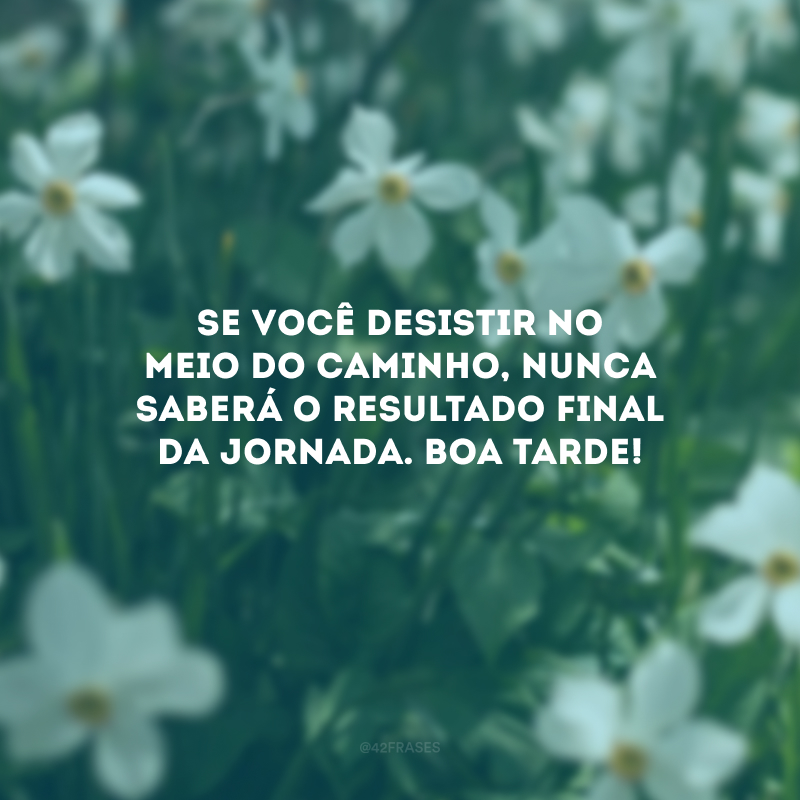 Se você desistir no meio do caminho, nunca saberá o resultado final da jornada. Boa tarde!