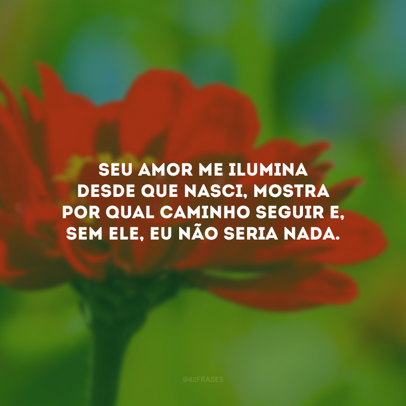 Seu amor me ilumina desde que nasci, mostra por qual caminho seguir e, sem ele, eu não seria nada.