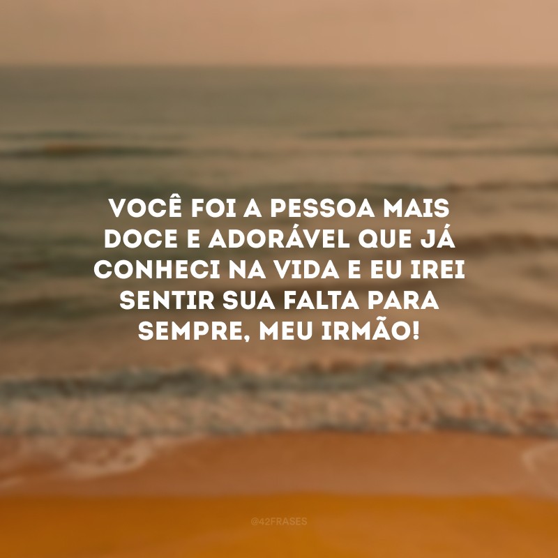 Você foi a pessoa mais doce e adorável que já conheci na vida e eu irei sentir sua falta para sempre, meu irmão! 