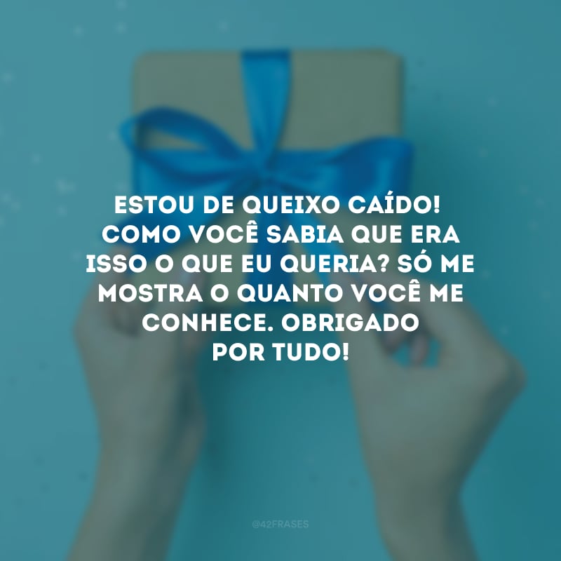 Estou de queixo caído! Como você sabia que era isso o que eu queria? Só me mostra o quanto você me conhece. Obrigado por tudo!