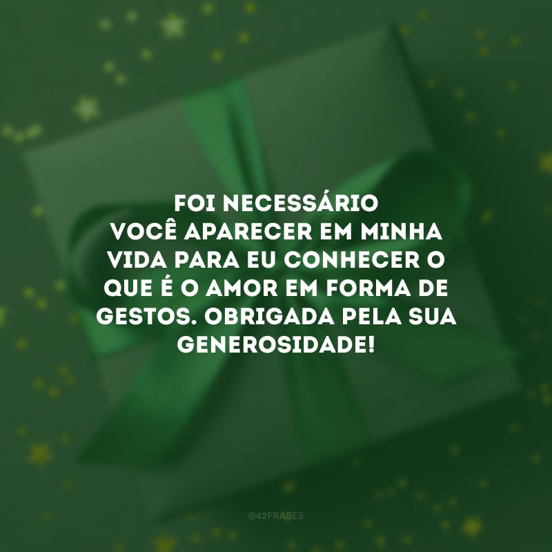 Foi necessário você aparecer em minha vida para eu conhecer o que é o amor em forma de gestos. Obrigada pela sua generosidade! 