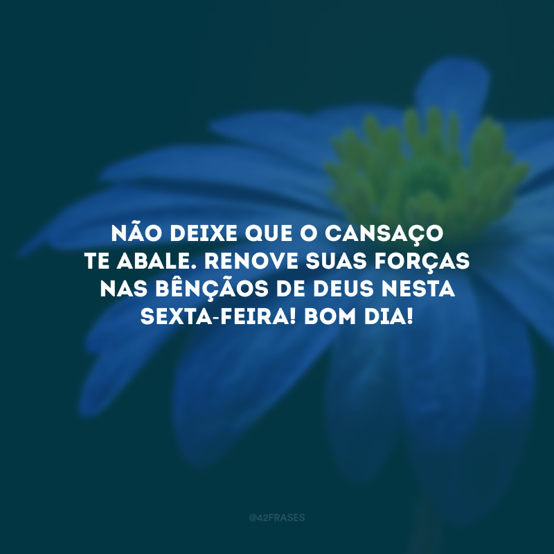 Não deixe que o cansaço te abale. Renove suas forças nas bênçãos de Deus nesta sexta-feira! Bom dia!