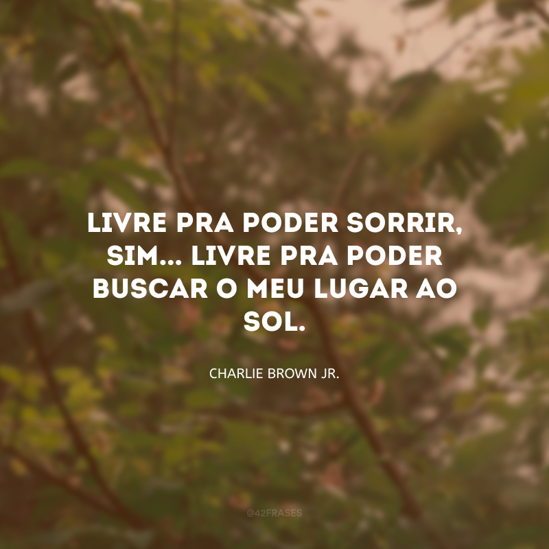 Livre pra poder sorrir, sim... Livre pra poder buscar o meu lugar ao sol. 