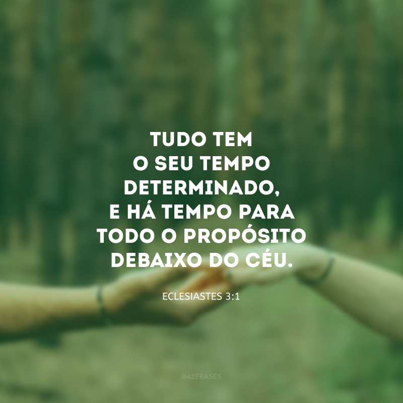 Tudo tem o seu tempo determinado, e há tempo para todo o propósito debaixo do céu. 