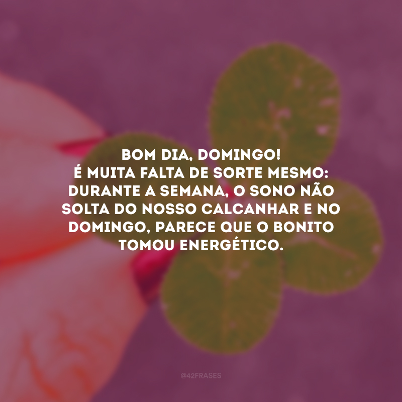 Bom dia, domingo! É muita falta de sorte mesmo: durante a semana, o sono não solta do nosso calcanhar e no domingo, parece que o bonito tomou energético.