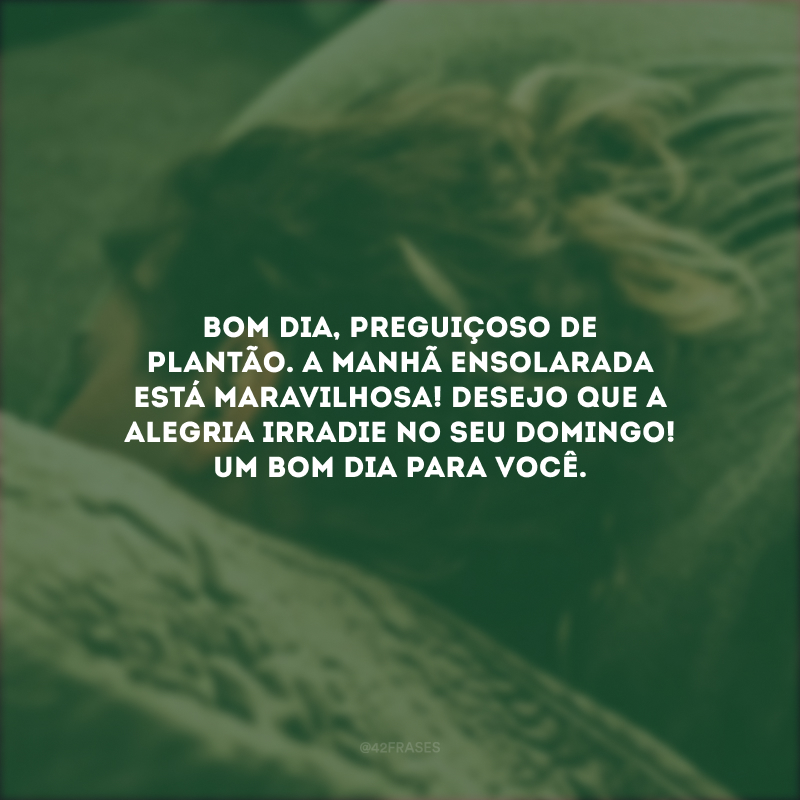 Bom dia, preguiçoso de plantão. A manhã ensolarada está maravilhosa! Desejo que a alegria irradie no seu domingo! Um bom dia para você.