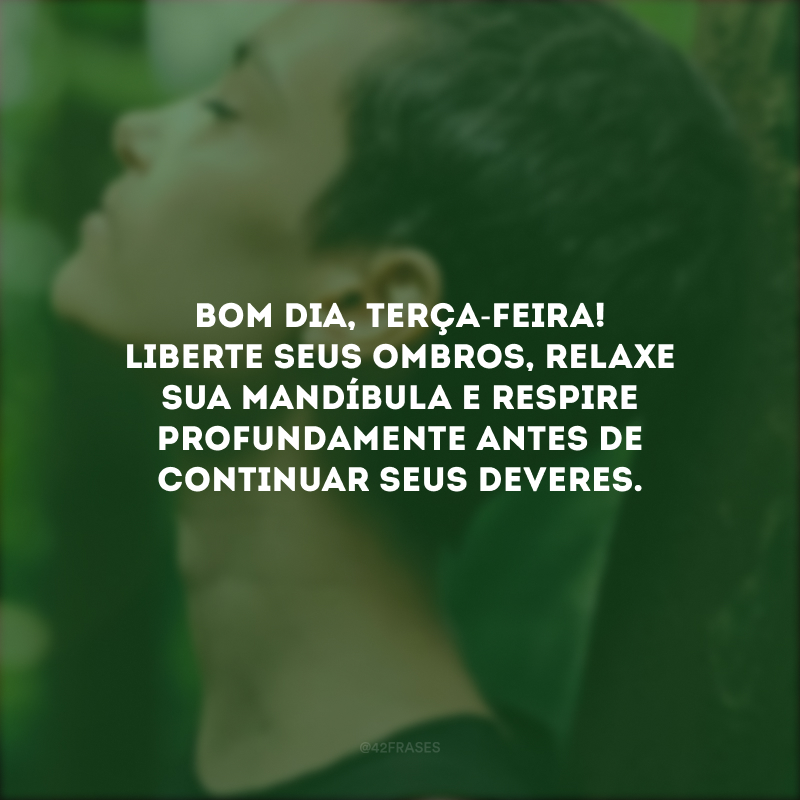 Bom dia, terça-feira! Liberte seus ombros, relaxe sua mandíbula e respire profundamente antes de continuar seus deveres.