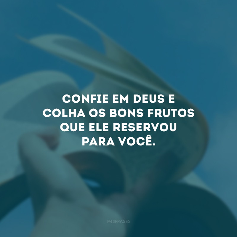 Confie em Deus e colha os bons frutos que Ele reservou para você.