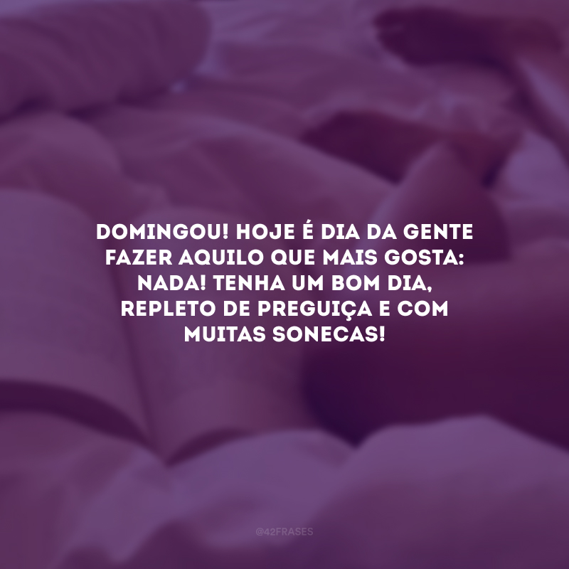 Domingou! Hoje é dia da gente fazer aquilo que mais gosta: nada! Tenha um bom dia, repleto de preguiça e com muitas sonecas!