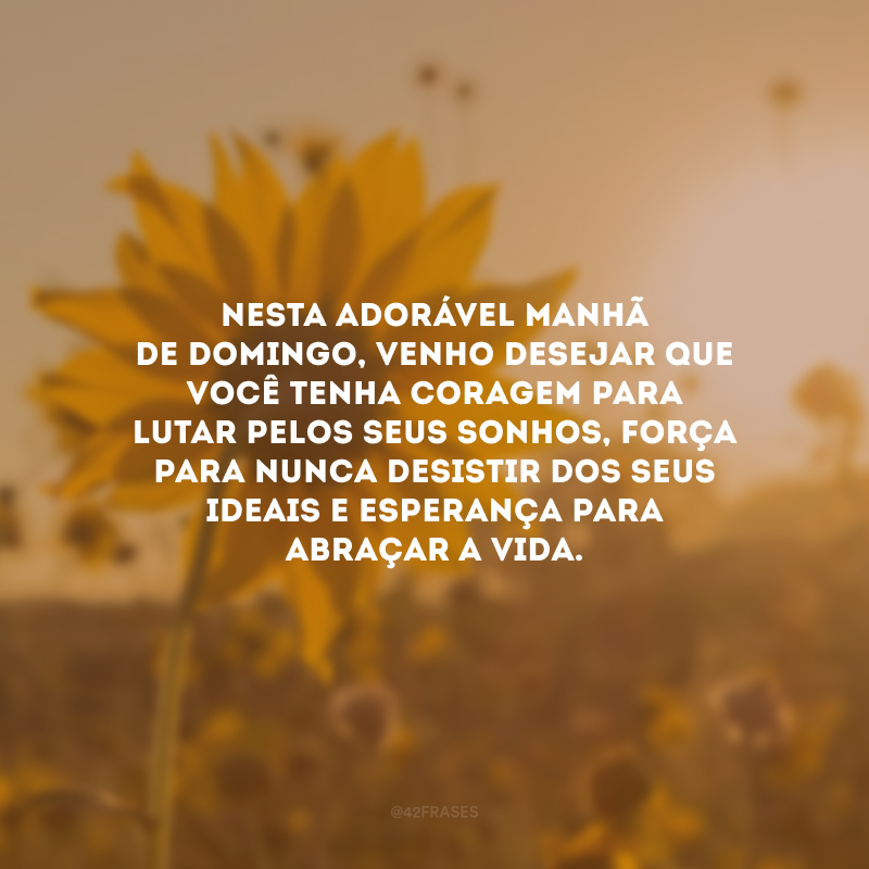 Nesta adorável manhã de domingo, venho desejar que você tenha coragem para lutar pelos seus sonhos, força para nunca desistir dos seus ideais e esperança para abraçar a vida.