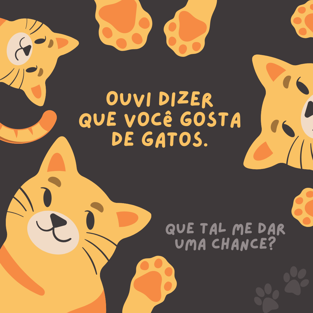 Ouvi dizer que você gosta de gatos. Que tal me dar uma chance? 