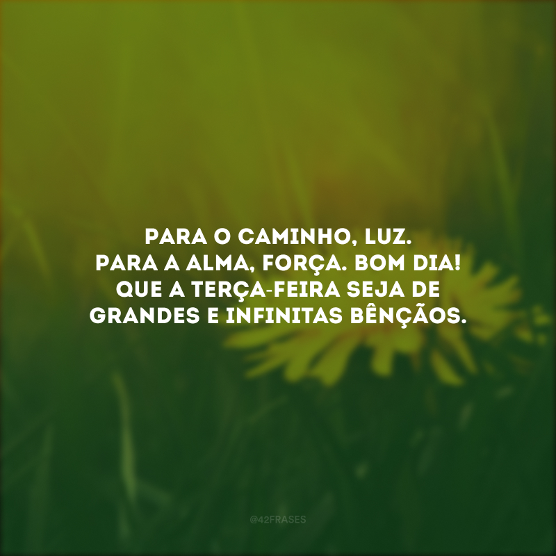 Para o caminho, luz. Para a alma, força. Bom dia! Que a terça-feira seja de grandes e infinitas bênçãos.