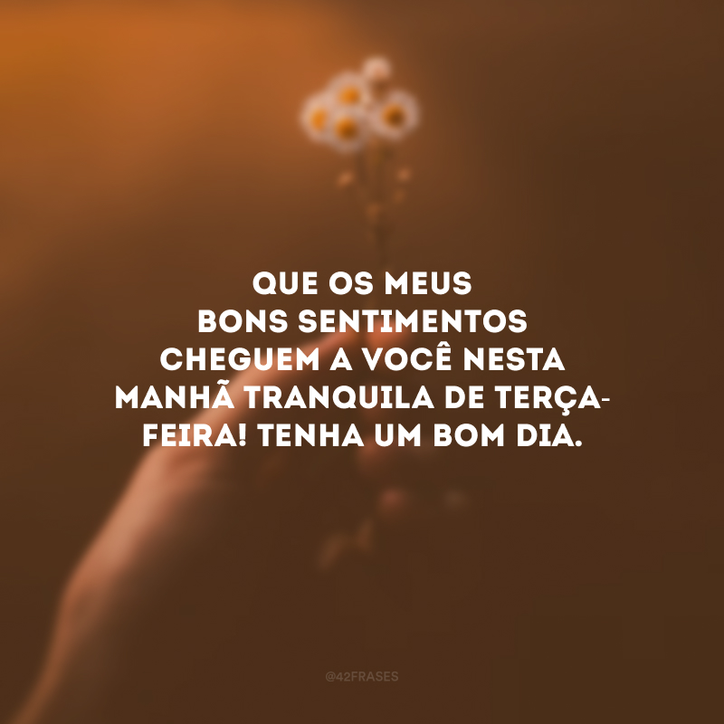 Que os meus bons sentimentos cheguem a você nesta manhã tranquila de terça-feira! Tenha um bom dia.