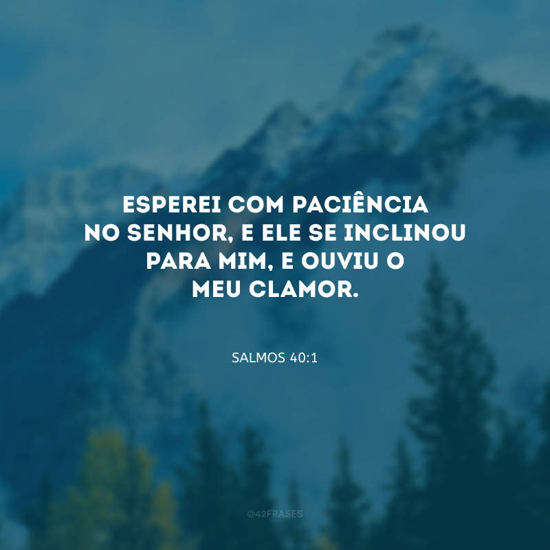 Esperei com paciência no Senhor, e ele se inclinou para mim, e ouviu o meu clamor.