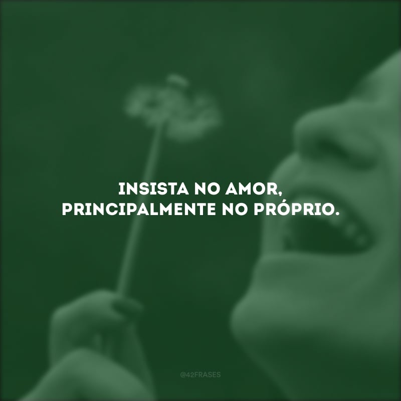 Insista no amor, principalmente no próprio.