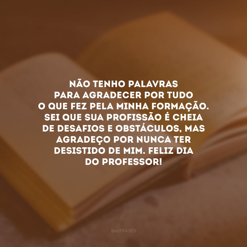 Não tenho palavras para agradecer por tudo o que fez pela minha formação. Sei que sua profissão é cheia de desafios e obstáculos, mas agradeço por nunca ter desistido de mim. Feliz Dia do Professor!