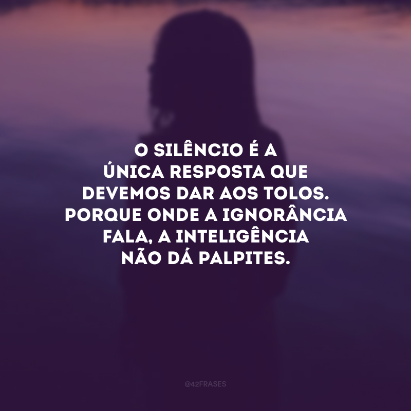 O silêncio é a única resposta que devemos dar aos tolos. Porque onde a ignorância fala, a inteligência não dá palpites.