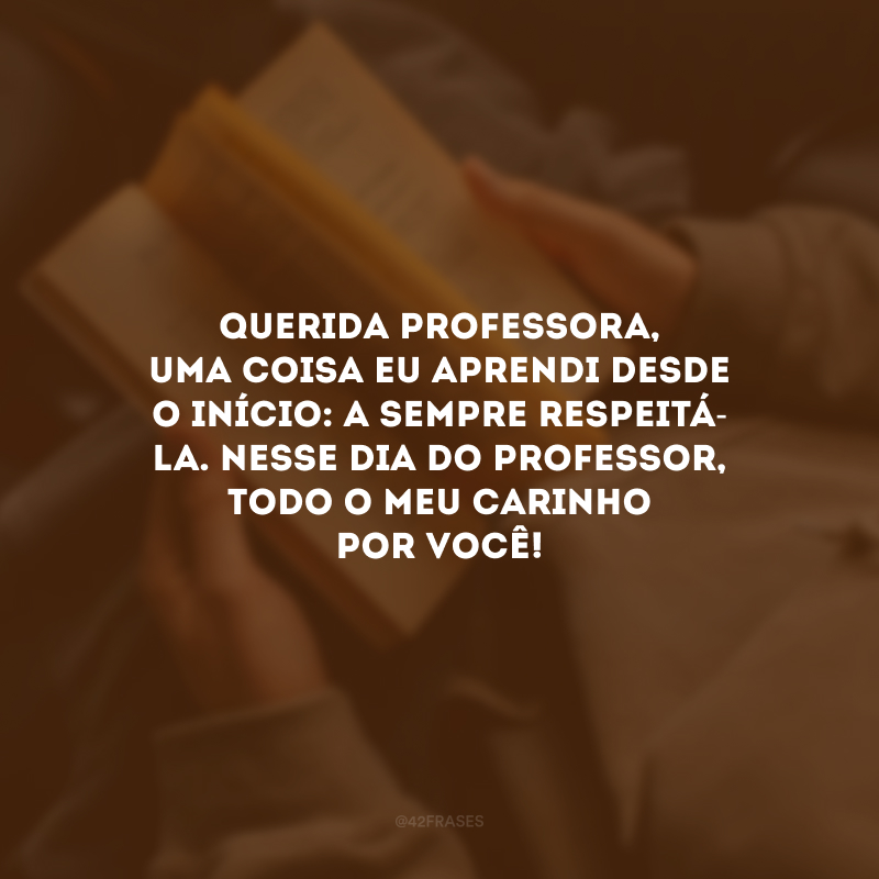 Querida professora, uma coisa eu aprendi desde o início: a sempre respeitá-la. Nesse Dia do Professor, todo o meu carinho por você!