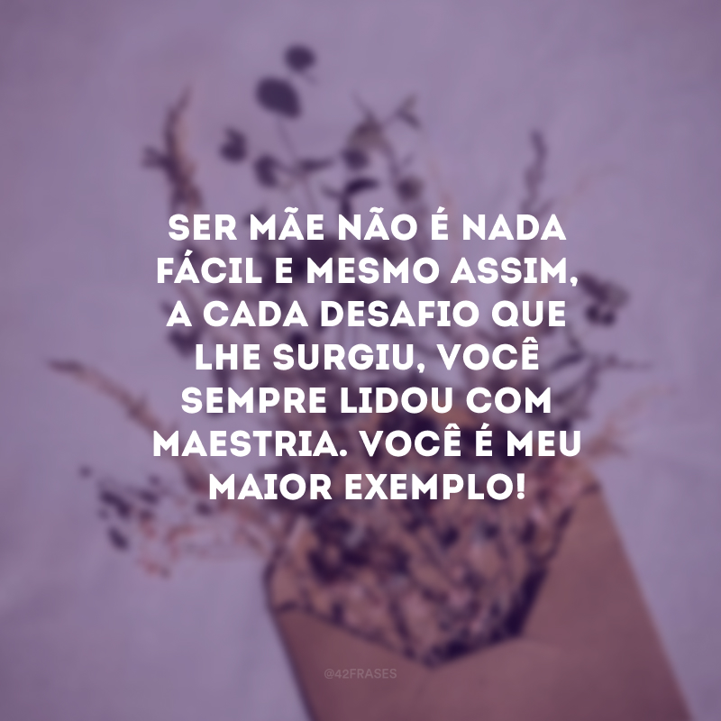 Ser mãe não é nada fácil e mesmo assim, a cada desafio que lhe surgiu, você sempre lidou com maestria. Você é meu maior exemplo!