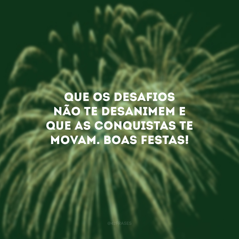 Que os desafios não te desanimem e que as conquistas te movam. Boas Festas! 