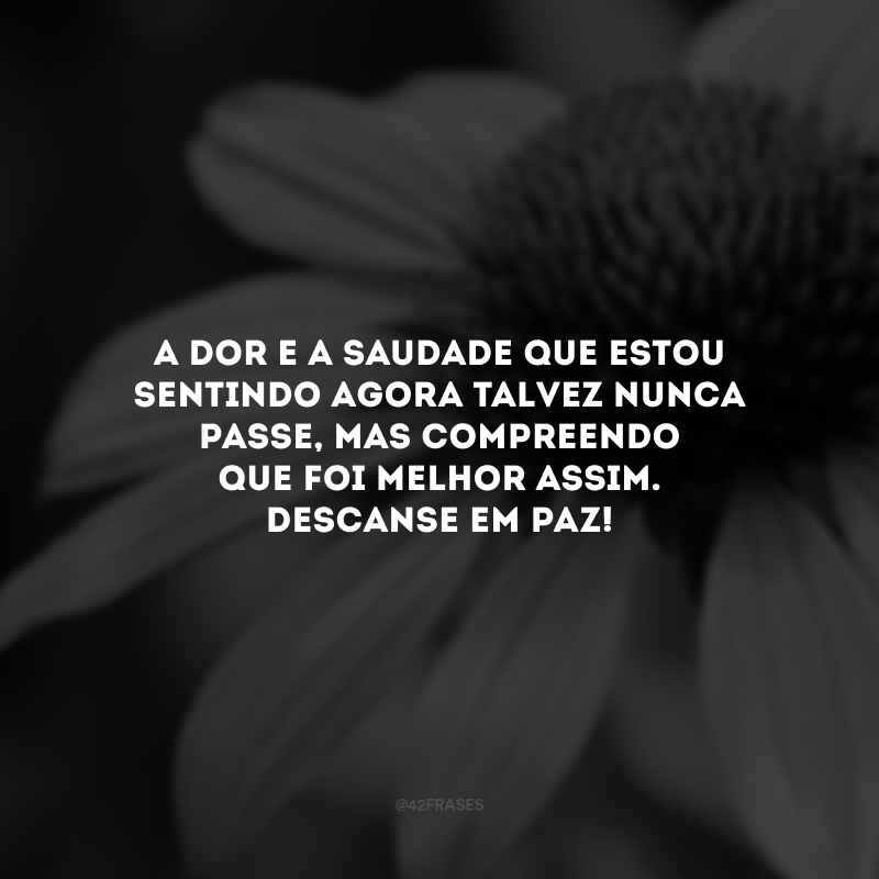 A dor e a saudade que estou sentindo agora talvez nunca passe, mas compreendo que foi melhor assim. Descanse em paz!