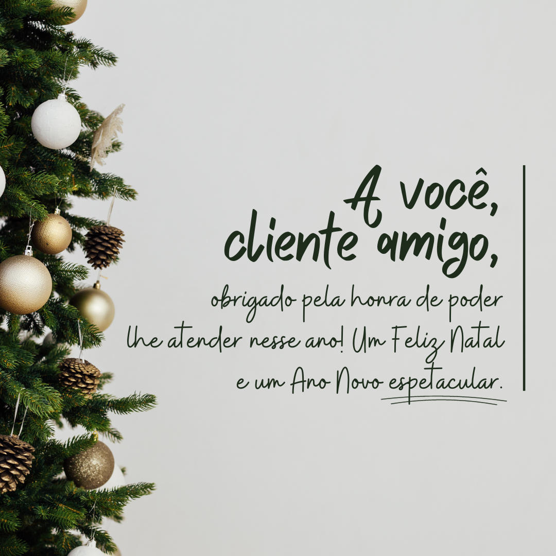 A você, cliente amigo, obrigado pela honra de poder lhe atender esse ano! Um Feliz Natal e um Ano Novo espetacular.