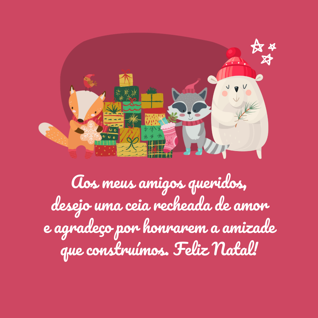 Aos meus amigos queridos, desejo uma ceia recheada de amor e agradeço por honrarem a amizade que construímos. Feliz Natal!