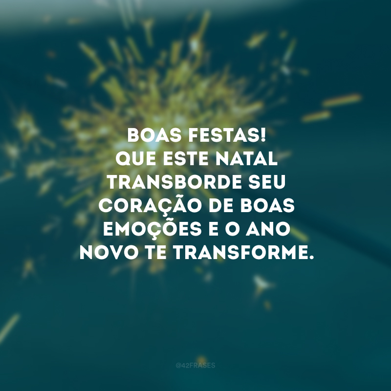 Boas Festas! Que este Natal transborde seu coração de boas emoções e o Ano Novo te transforme. 