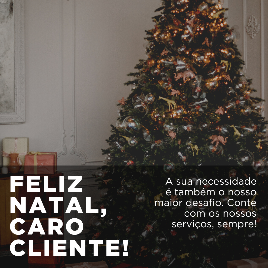 Feliz Natal, caro cliente! A sua necessidade é também o nosso maior desafio. Conte com os nossos serviços, sempre!